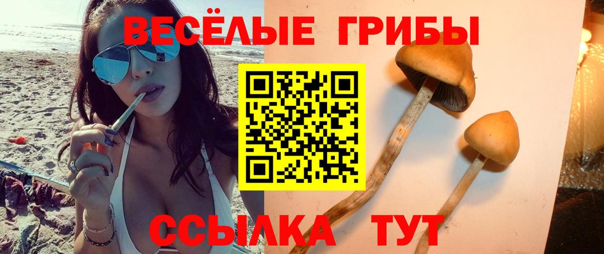 Рязань  Псилоцибиновые грибы Magic Shrooms  Вход с VPN 